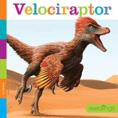 bokomslag Velociraptor