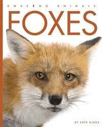 bokomslag Foxes
