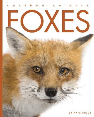 Kate Riggs - Foxes, Inbunden