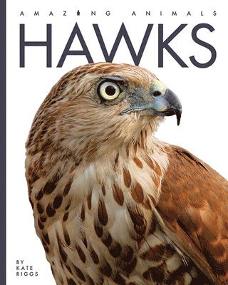 bokomslag Hawks