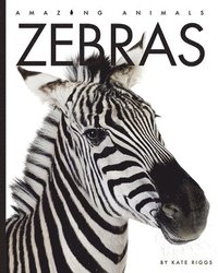 bokomslag Zebras