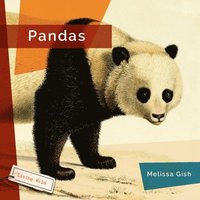 bokomslag Pandas