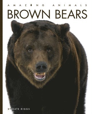 Kate Riggs - Brown Bears, Inbunden