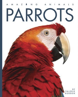 Parrots 1