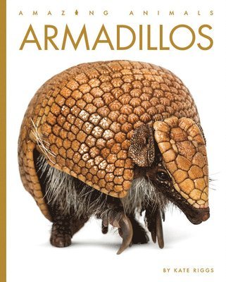 Armadillos 1