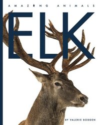 bokomslag Elk