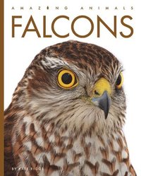 bokomslag Falcons