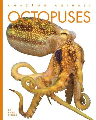 Octopuses 1