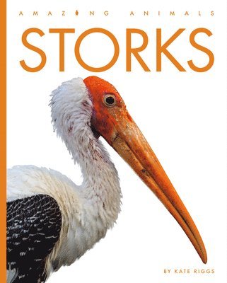 bokomslag Storks