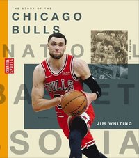 bokomslag The Story of the Chicago Bulls