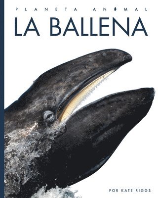 Kate Riggs - La Ballena, Inbunden