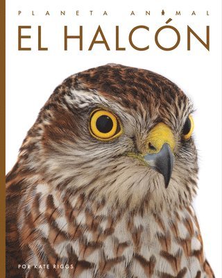 El Halcón 1