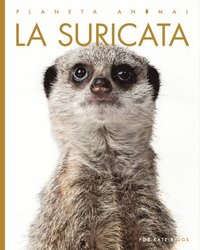 bokomslag La Suricata