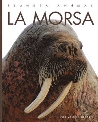 bokomslag La Morsa
