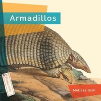 bokomslag Armadillos