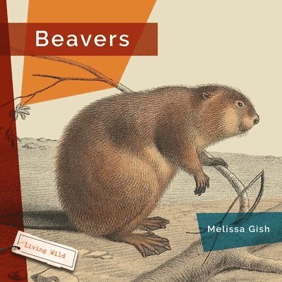 Beavers 1