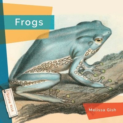 Melissa Gish - Frogs, Inbunden