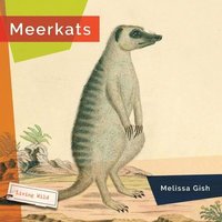 bokomslag Meerkats