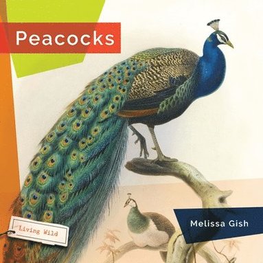 bokomslag Peacocks