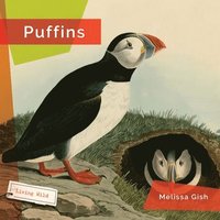 bokomslag Puffins