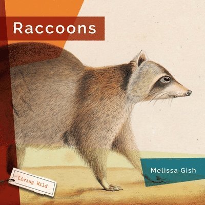 Melissa Gish - Raccoons, Inbunden