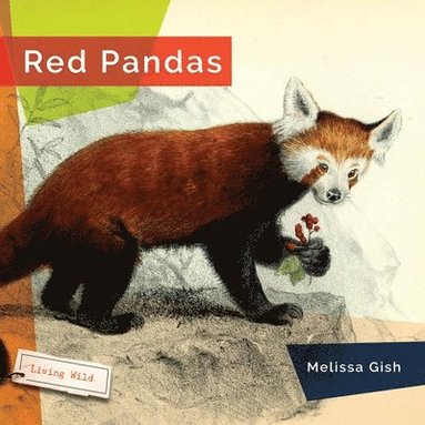 bokomslag Red Pandas