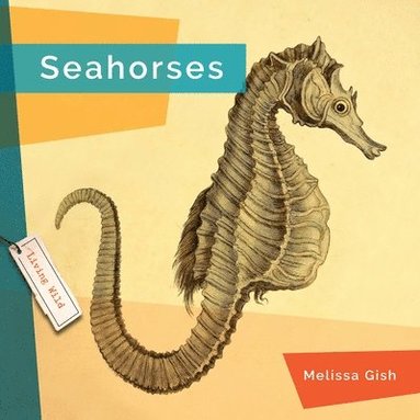 bokomslag Seahorses
