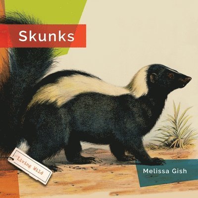 Skunks 1