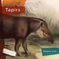 bokomslag Tapirs