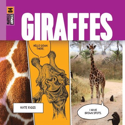 Giraffes 1