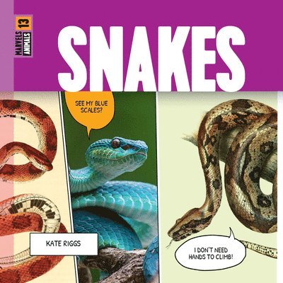 Kate Riggs - Snakes, Inbunden