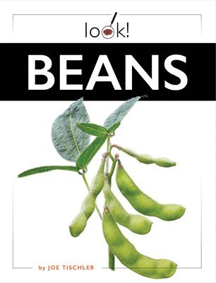 Joe Tischler - Beans, Inbunden