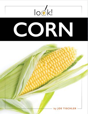 Corn 1