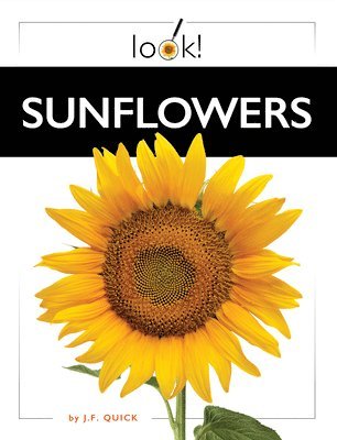 Sunflowers 1