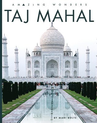 Taj Mahal 1