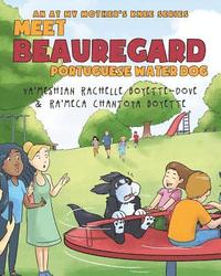 bokomslag Meet Beauregard