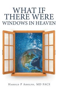 bokomslag What If There Were Windows in Heaven