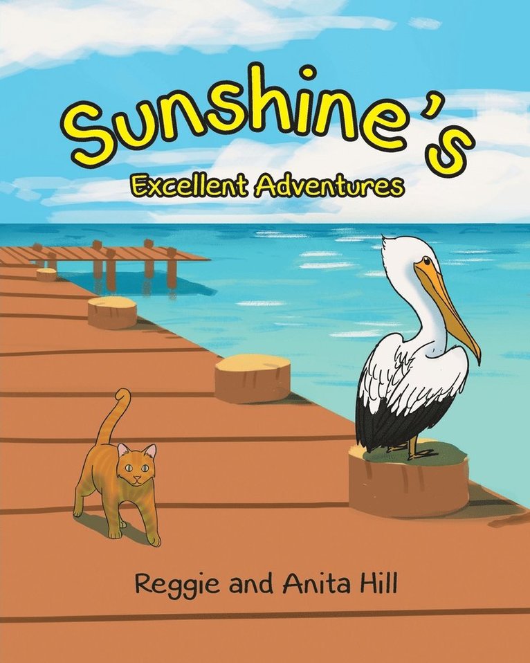 Sunshine's Excellent Adventures 1
