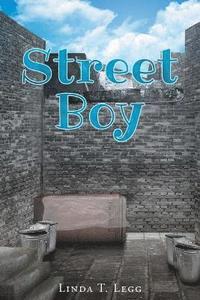 bokomslag Street Boy