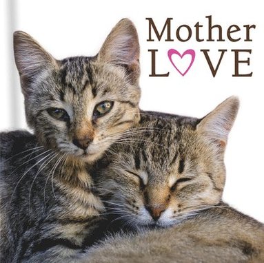 bokomslag Mother Love (Cats)