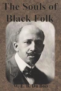 bokomslag Souls of Black Folk