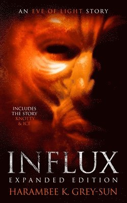 bokomslag Influx
