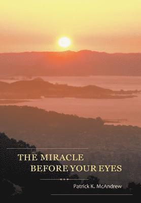 bokomslag Miracle Before Your Eyes