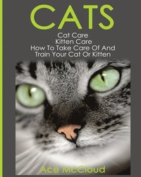 bokomslag Cats