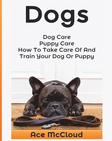 bokomslag Dogs