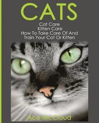 bokomslag Cats