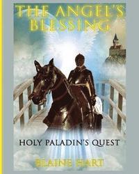 bokomslag Holy Paladin's Quest