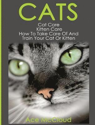 Cats 1
