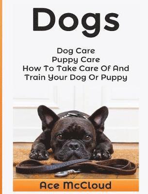 bokomslag Dogs