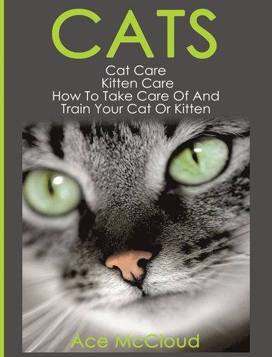 bokomslag Cats